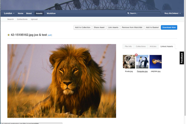 Digital asset management