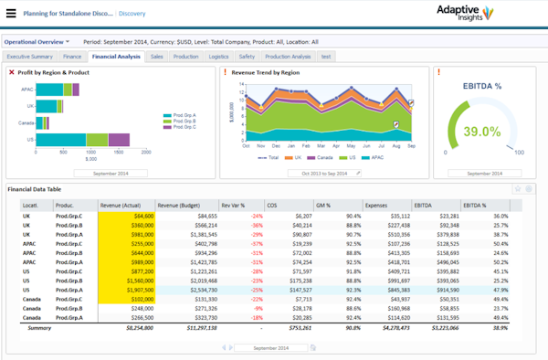 Adaptive Planning Financial Analysis