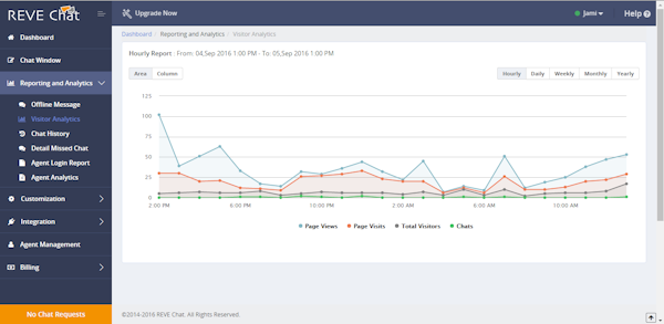 Visitor analytics