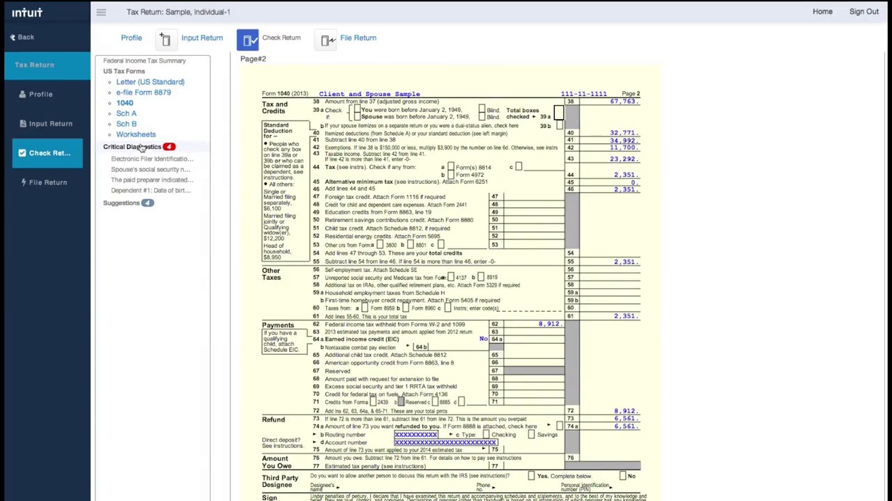 intuit pro series tax software