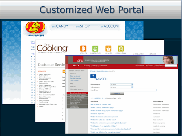 Customized web portal