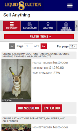Auction item