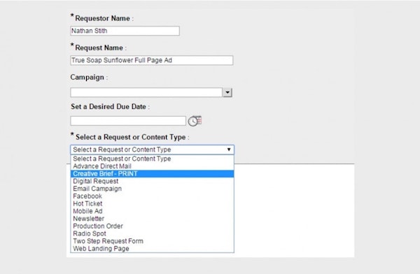 Custom request forms