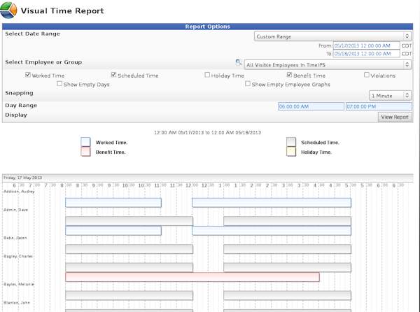 Visual time and schedule report