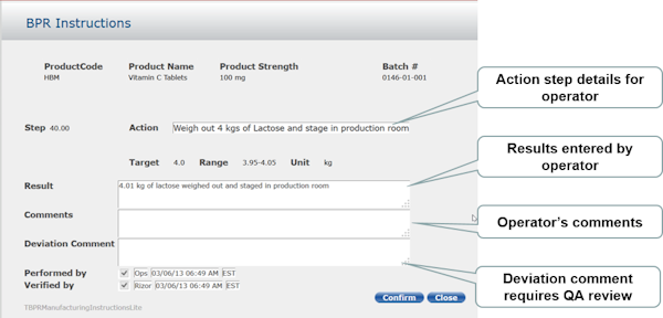 Batch production record details