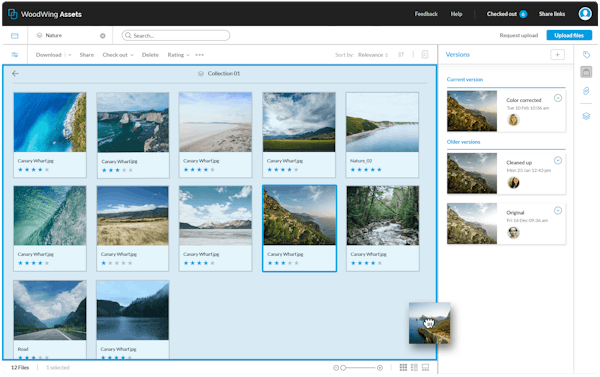 Automated file versioning in WoodWing Assets