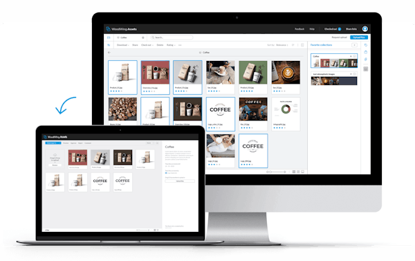 Sharelink and Brand Portal in WoodWing Assets