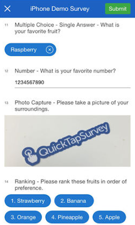 Mobile survey