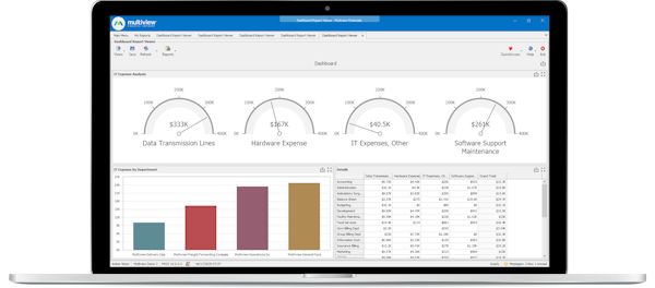 IT Expense Report