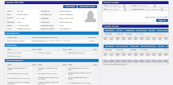 Consultant profile