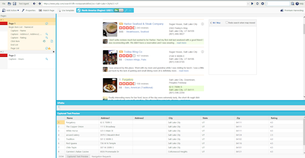 View web page data