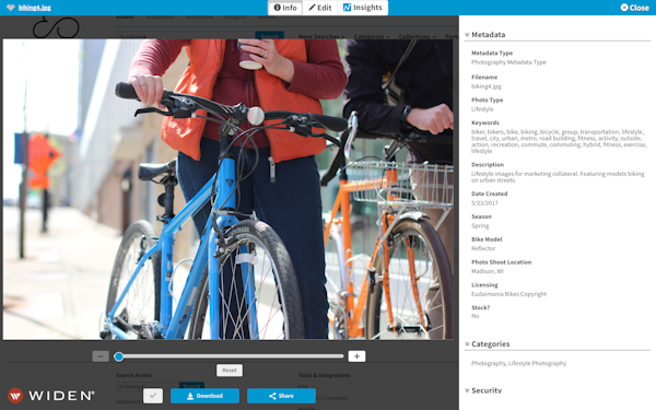 Widen Collective metadata quick view
