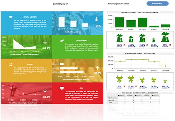 Summary report