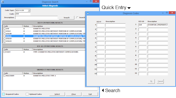 Diagnosis Quick Entry and Search