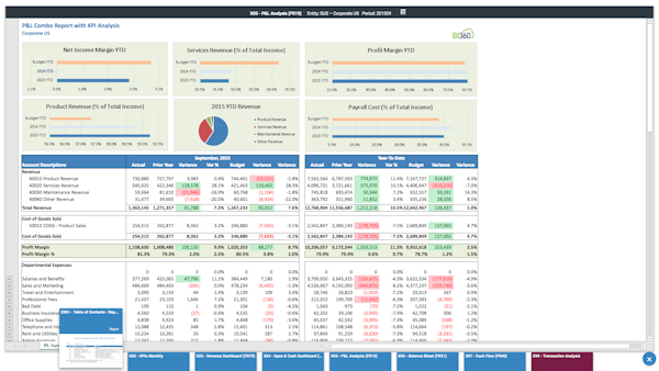 Analytical profit and loss report