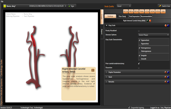 Vascular ultrasound reporting