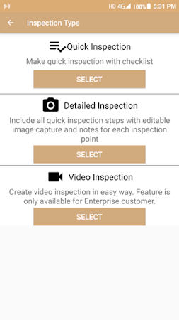 Inspection type