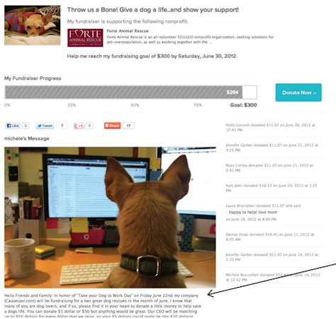 Peer-to-peer campaigns