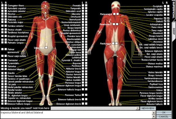 Visual input helper