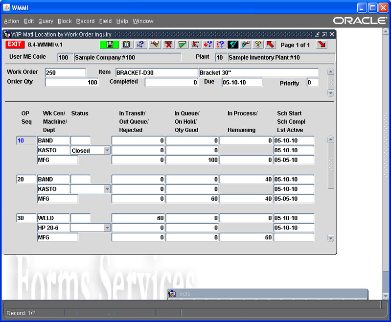 erp work from home