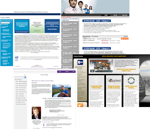 Customize Look and Feel of Site