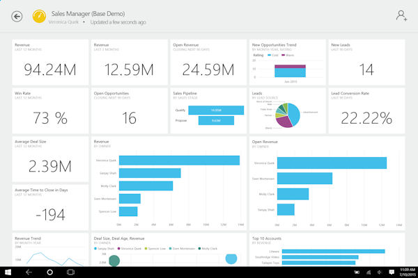 Microsoft Dynamics CRM - Sales manager dashboard