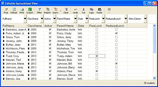 Editable spreadsheet