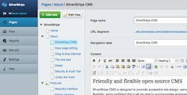 Silverstripe CMS activity dashboard