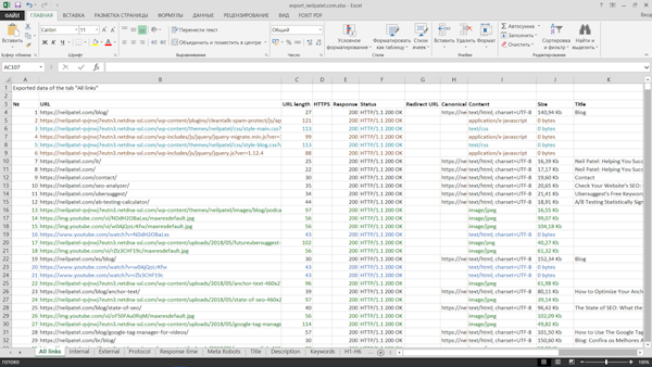 SiteAnalyzer excel report