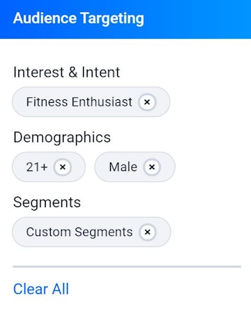 StackAdapt target audiences